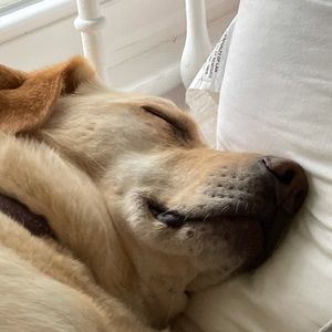 Meet your Posher, Edy